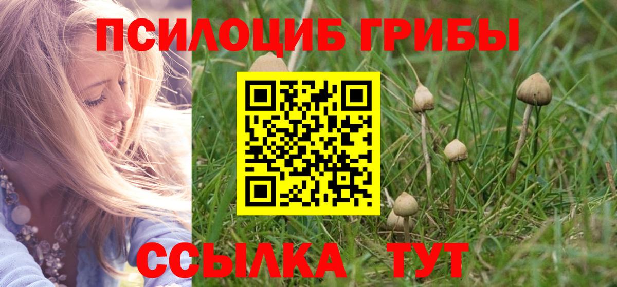 Гурьевск  Псилоцибиновые грибы ЛСД  Вход с VPN  Галлюциногенные грибы Cubensis 